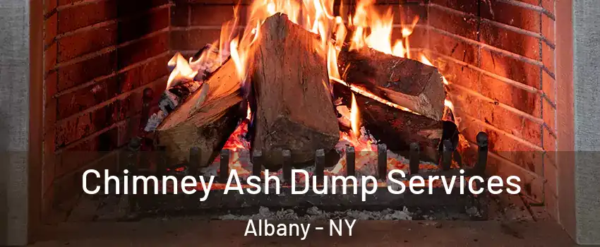  Chimney Ash Dump Services Albany - NY