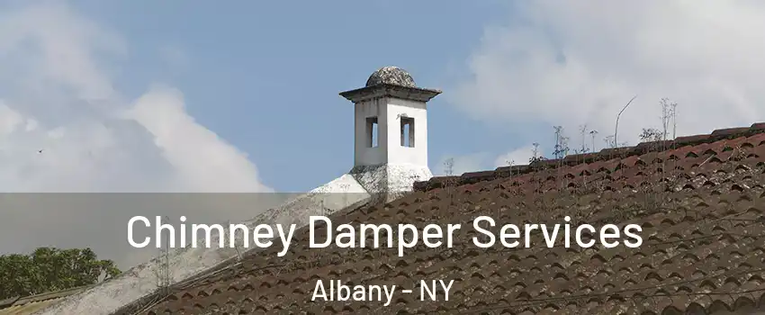  Chimney Damper Services Albany - NY