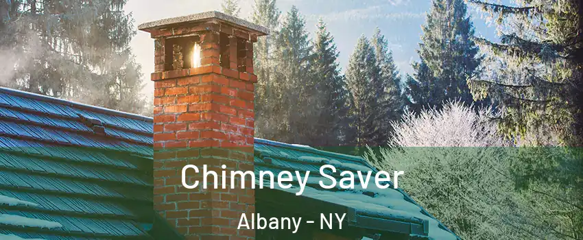  Chimney Saver Albany - NY
