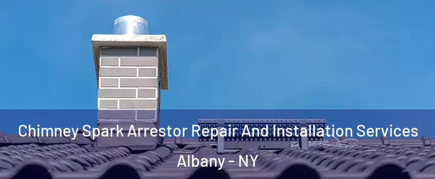  Chimney Spark Arrestor Repair And Installation Services Albany - NY