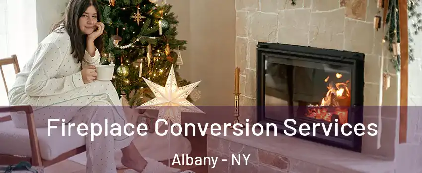 Fireplace Conversion Services Albany - NY