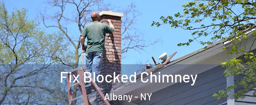  Fix Blocked Chimney Albany - NY