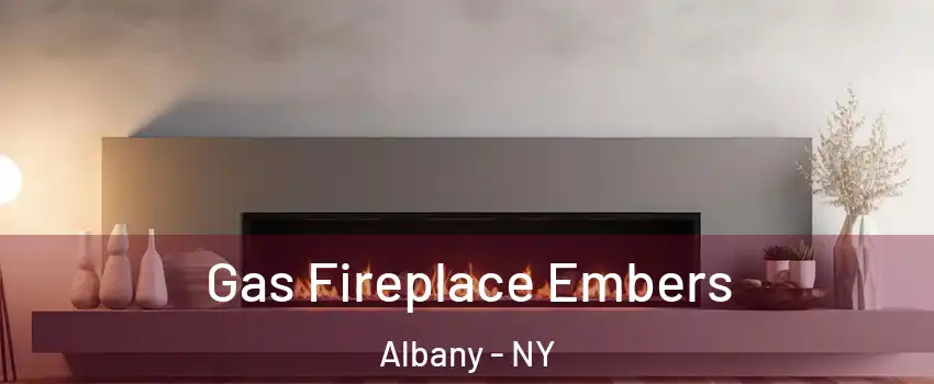  Gas Fireplace Embers Albany - NY