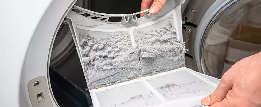 Best Dryer Lint Removal Company in Albany, New York