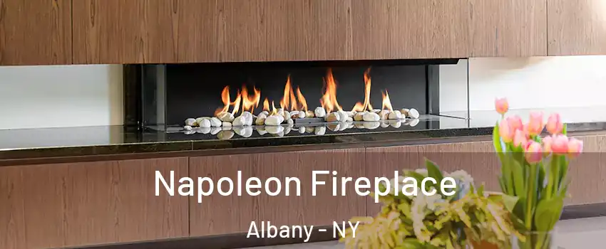  Napoleon Fireplace Albany - NY