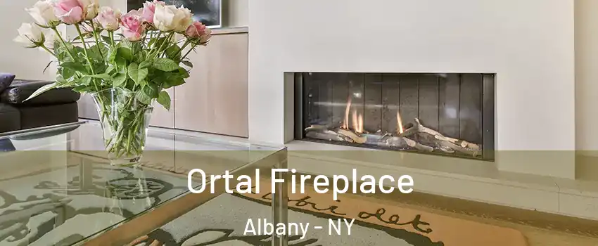 Ortal Fireplace Albany - NY